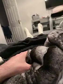 Furdale online show from December 17, 4:12 pm