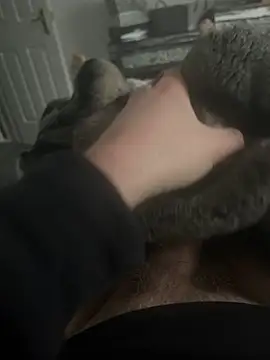 Furdale online show from February 18, 3:52 pm