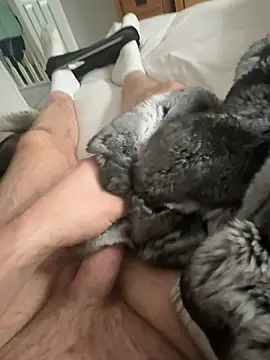 Furdale online show from April 15, 10:10 am