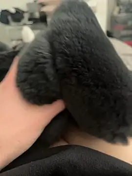 Furdale online show from February 28, 11:36 am