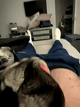 Furdale online show from December 5, 2:26 pm