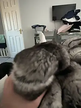 Furdale online show from November 30, 11:22 am