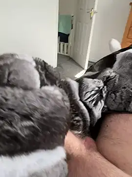 Furdale online show from March 22, 2:18 pm