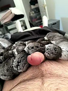 Furdale online show from September 25, 4:57 pm