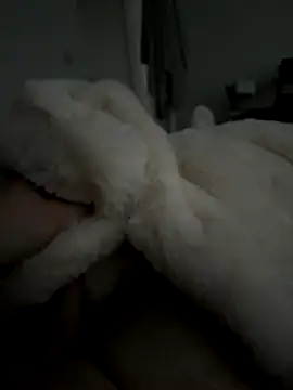 Furdale online show from November 5, 2:53 pm