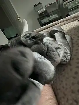 Furdale online show from February 9, 3:43 pm