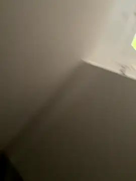 Furdale online show from September 10, 4:28 pm