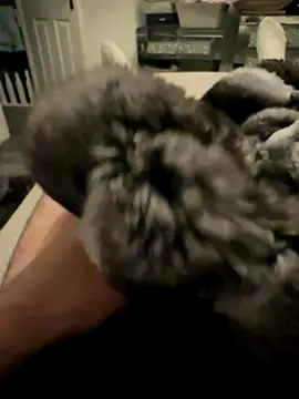 Furdale online show from November 24, 4:40 pm