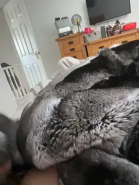 Furdale online show from April 18, 10:28 am