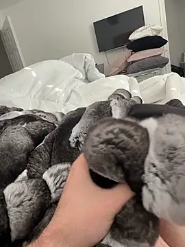 Furdale online show from November 2, 1:05 pm