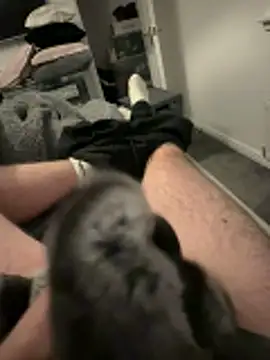 Furdale online show from November 3, 4:43 pm