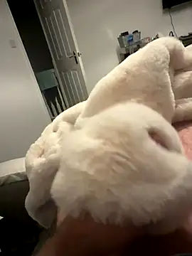 Furdale online show from November 6, 5:28 pm