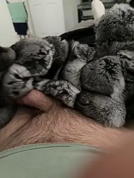 Furdale online show from September 22, 4:13 pm