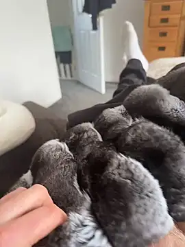 Furdale online show from April 7, 1:35 pm