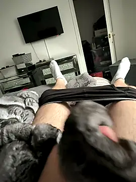 Furdale online show from October 13, 1:56 pm