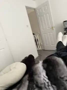 Furdale online show from March 18, 2:19 pm