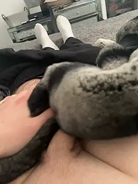 Furdale online show from February 26, 12:49 pm