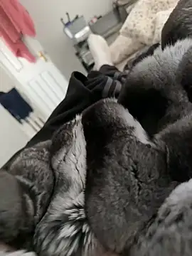 Furdale online show from February 28, 2:06 pm