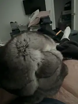 Furdale online show from December 2, 2:52 pm