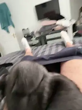 Furdale online show from September 13, 1:33 pm