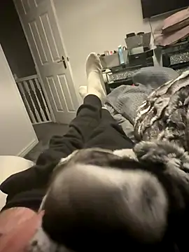 Furdale online show from October 31, 6:59 pm