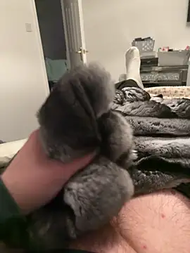 Furdale online show from February 12, 7:13 pm