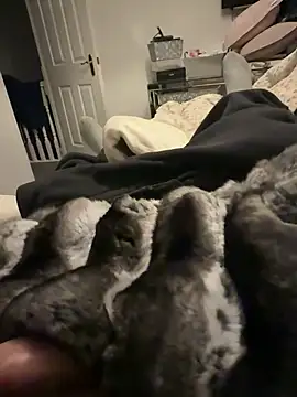 Furdale online show from February 6, 6:48 pm