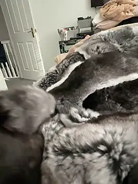 Furdale online show from February 22, 3:13 pm