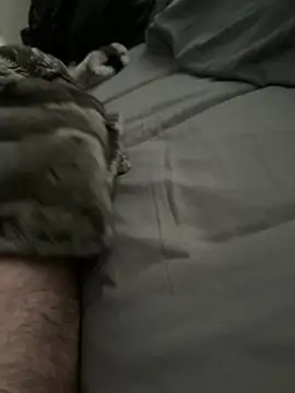 Furdale online show from March 23, 2:39 pm