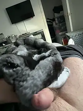 Furdale online show from September 19, 5:17 pm