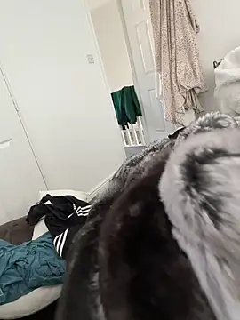 Furdale online show from March 8, 12:41 pm