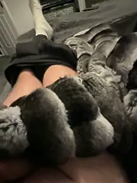 Furdale online show from November 12, 4:22 pm