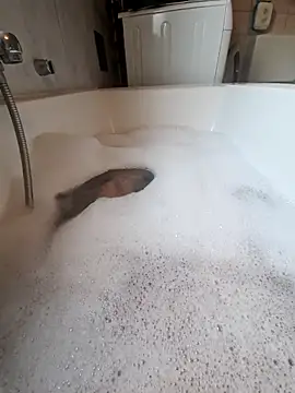 toeloverlive online show from March 12, 8:07 am