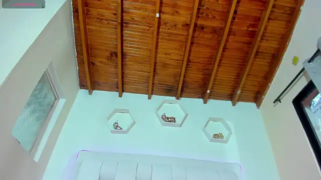 shanakendall online show from March 18, 2:41 pm