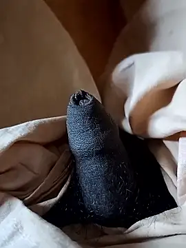 malluflash online show from January 12, 8:54 am