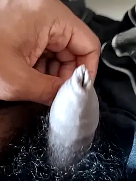 malluflash online show from February 14, 8:03 am