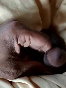 malluflash online show from January 10, 9:04 am