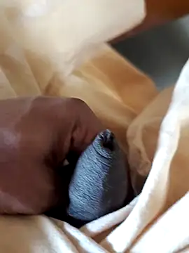 malluflash online show from February 7, 6:54 am