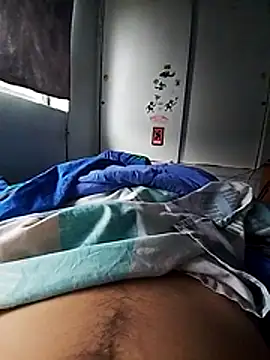 rodovlaz online show from November 26, 11:21 am