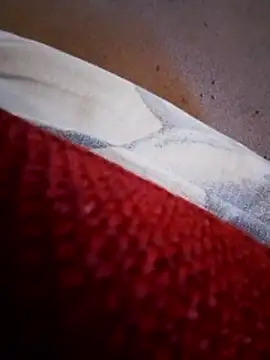 rodovlaz online show from February 10, 11:20 am