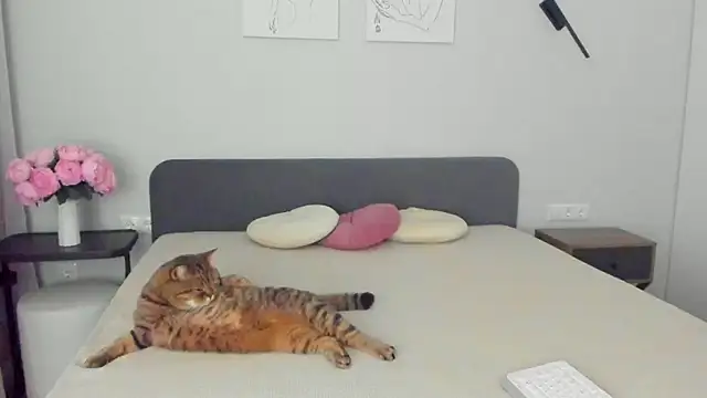 miss emily  online show from April 10, 11:23 pm