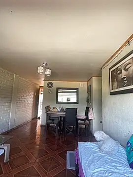 Lalolachilena online show from February 28, 6:07 pm