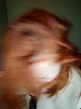 lollipop cat online show from April 16, 9:39 pm