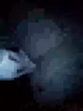 Nonelela online show from February 7, 8:39 pm