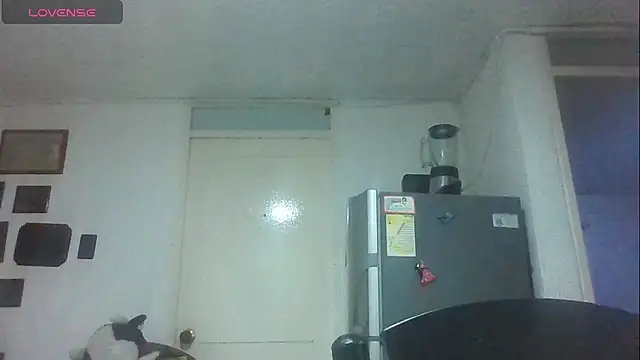 Snapshot of SexDiffrent chatting on November 21, 6:40 pm SexDiffrent online show from November 21, 6:40 pm