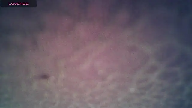 Snapshot of SexDiffrent chatting on November 27, 7:36 pm SexDiffrent online show from November 27, 7:36 pm