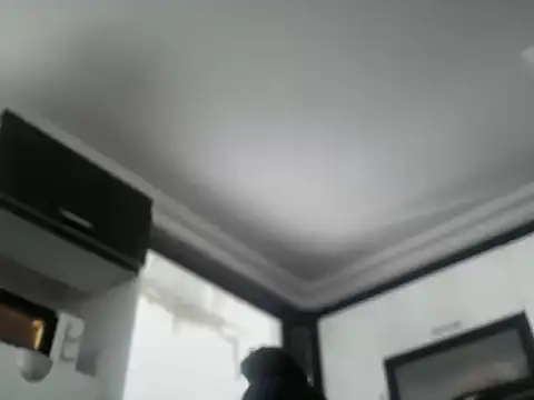 Snapshot of ALPHANDRE chatting on October 25, 8:35 am ALPHANDRE online show from October 25, 8:35 am