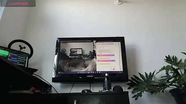 Snapshot of cat_salo chatting on March 2, 1:53 pm cat salo online show from March 2, 1:53 pm