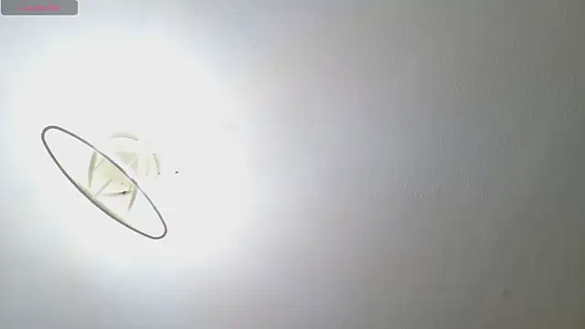 DianaWild online show from July 9, 2:27 pm