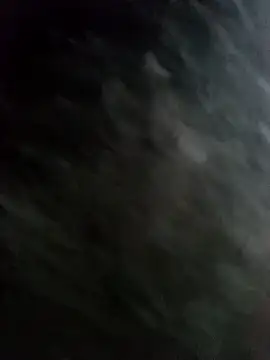 Snapshot of 22orlando chatting on November 19, 5:24 pm 22orlando online show from November 19, 5:24 pm